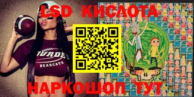 ПСИЛОЦИБИНОВЫЕ ГРИБЫ Коммунар