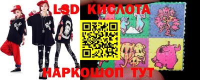 ПСИЛОЦИБИНОВЫЕ ГРИБЫ Коммунар