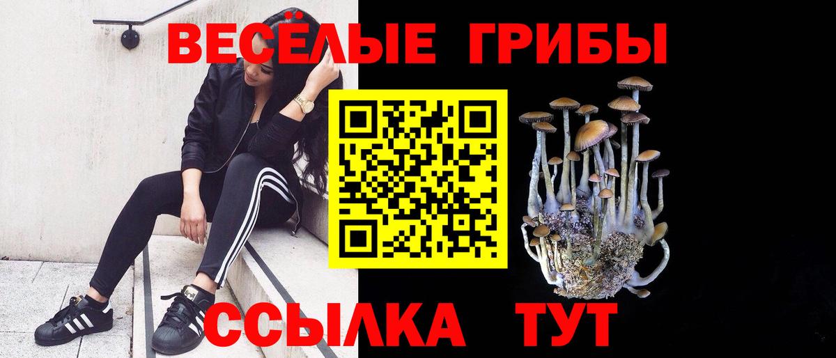Псилоцибиновые грибы мухоморы  Вход с VPN  Кудрово 