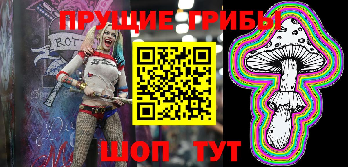 Галлюциногенные грибы Psilocybine cubensis Кудрово